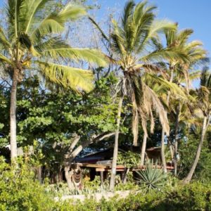 La Mariana Tiki Bar - GoTravelHawaii